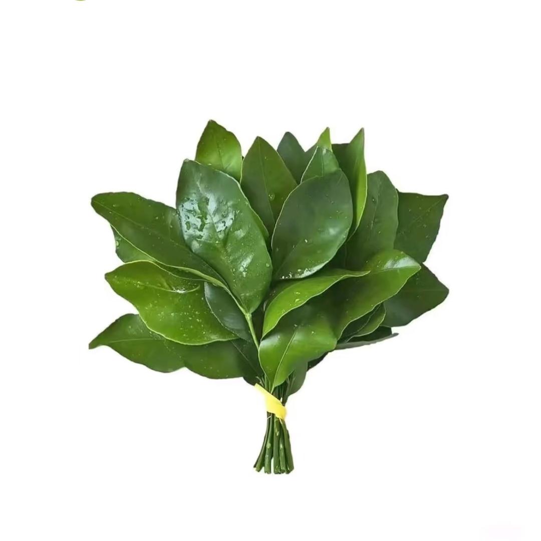 不爱睡觉