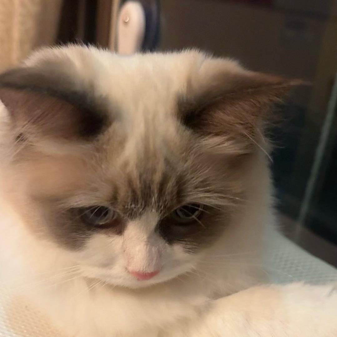 给你一电炮💫
