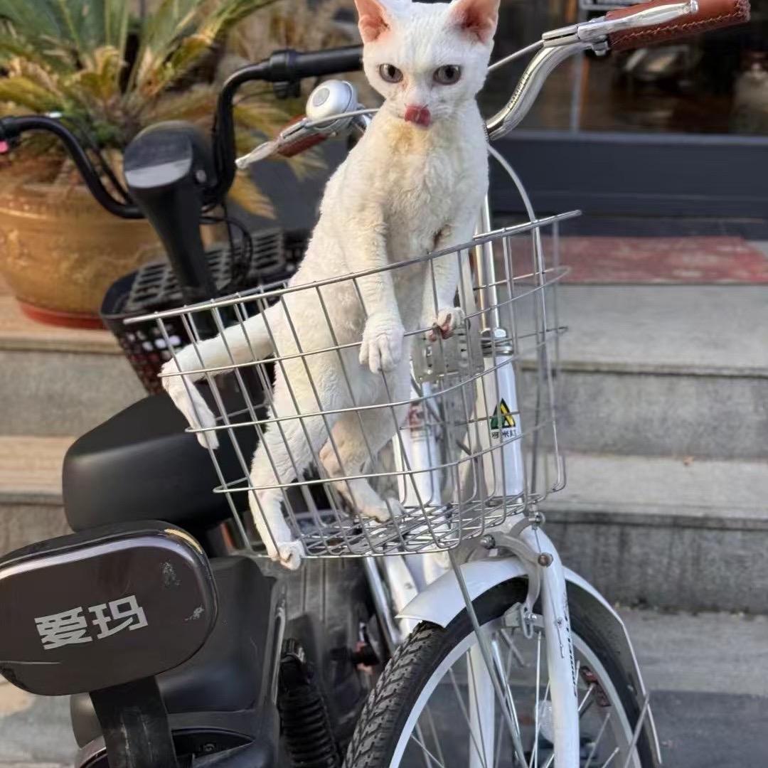 果然鲜美的