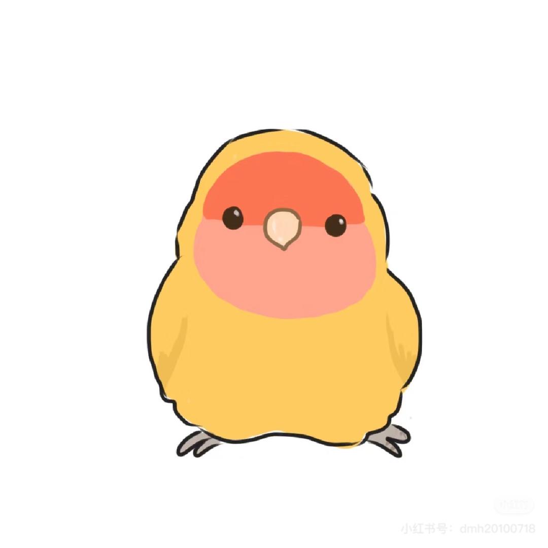 小鹦用品
