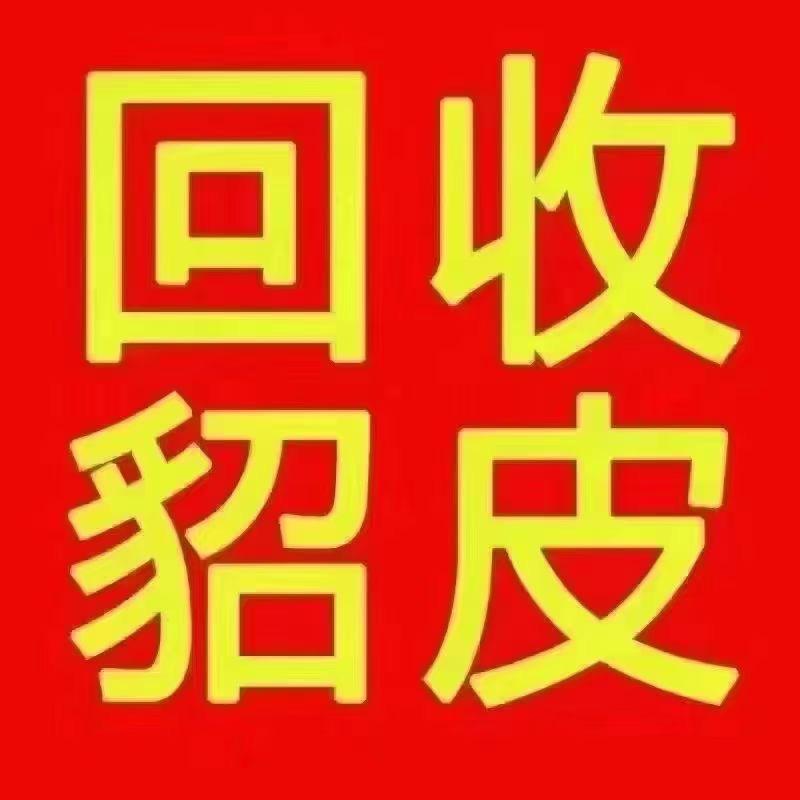 大发皮草（旧貂回收）