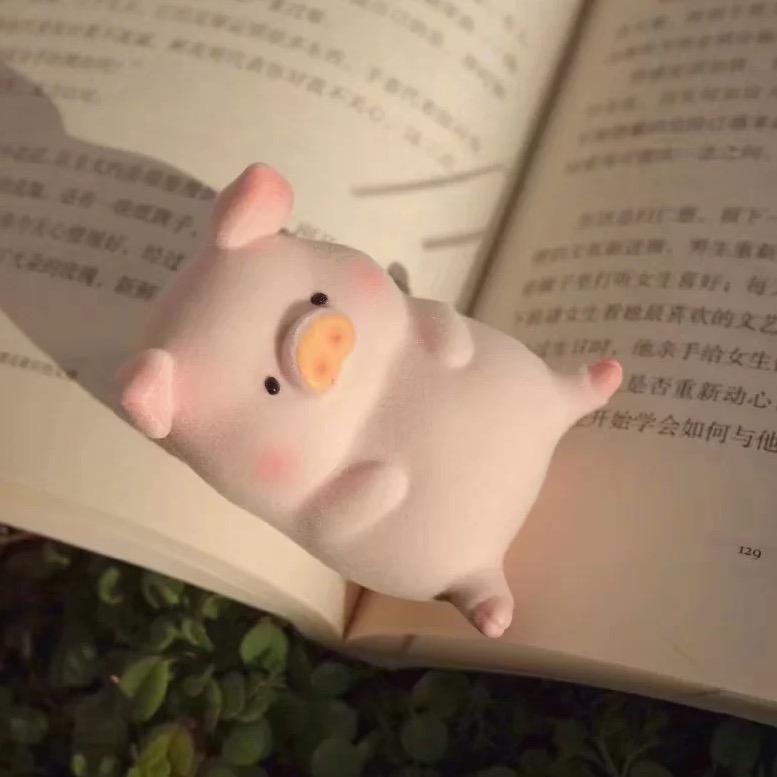 神 秘 小 🐷
