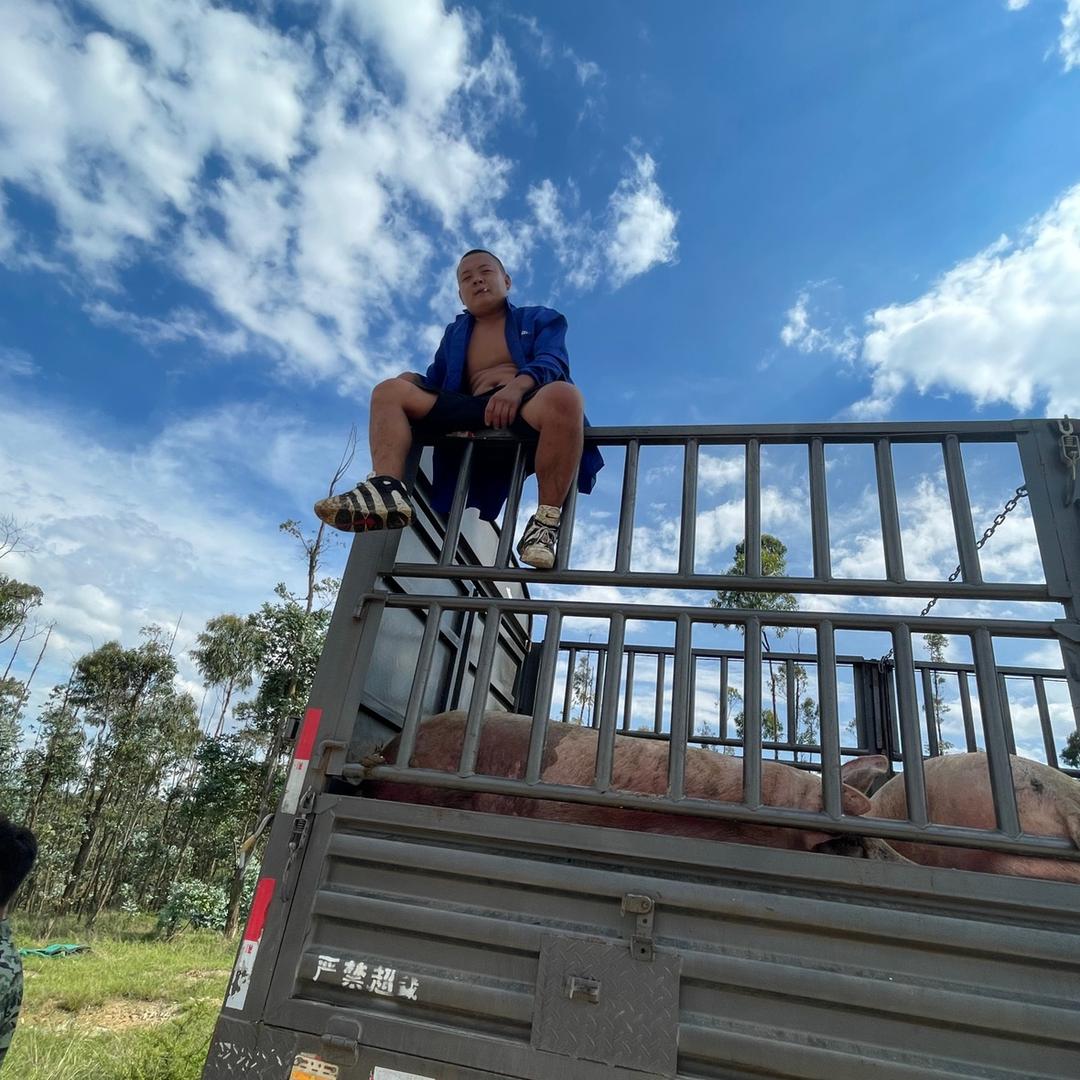 猪总司令（卖猪肉）