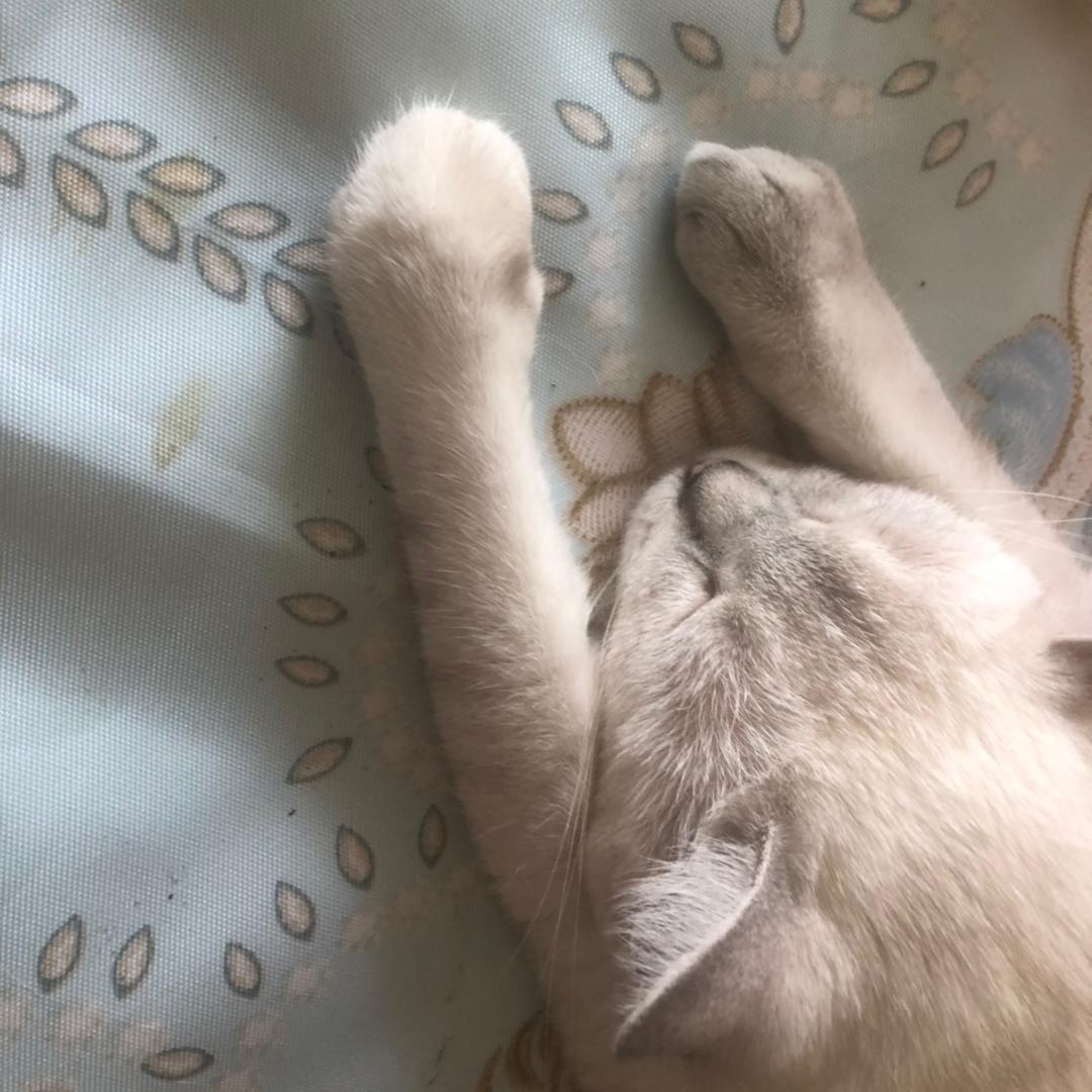 贺❤️