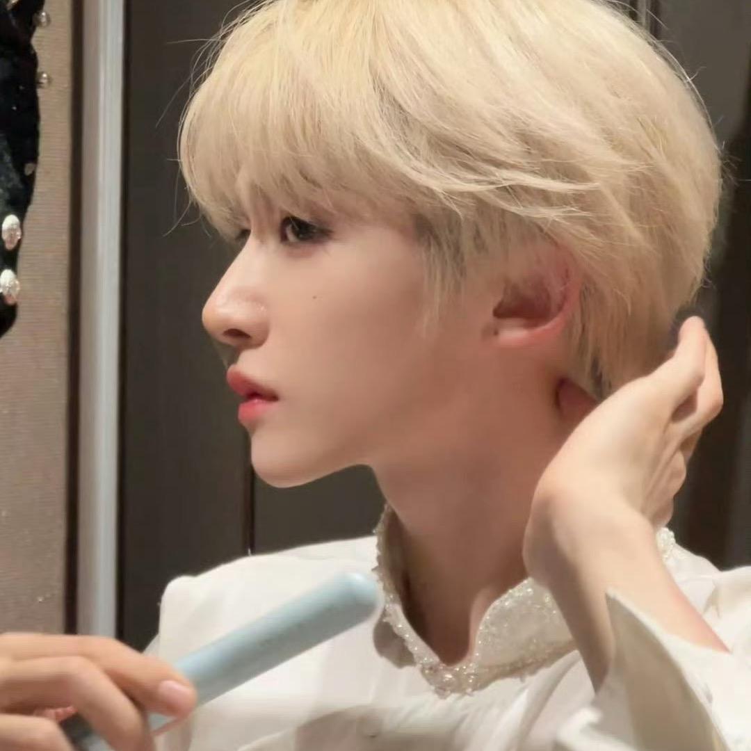 鲨鲨（抢不到票版）