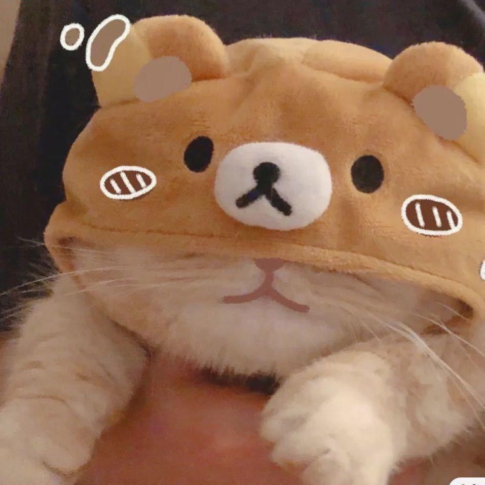 雨🐻🧸