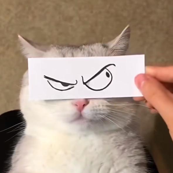 用户不存在……花生