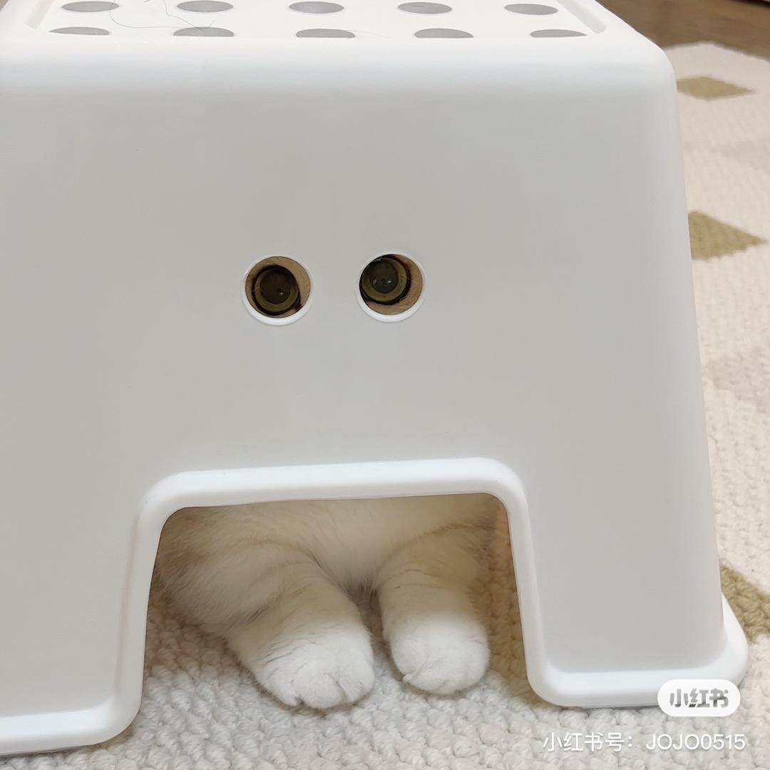 飘游