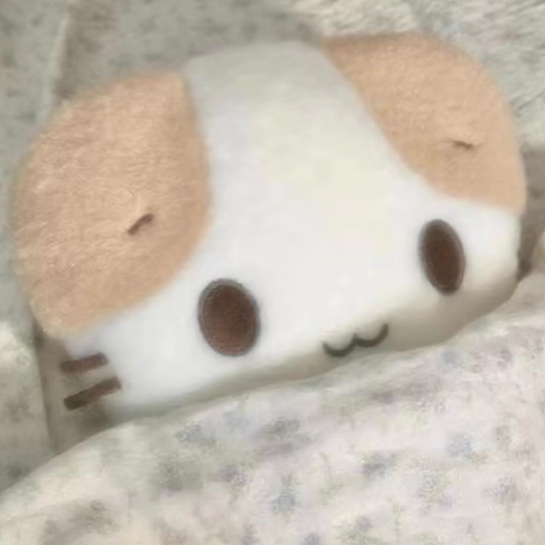 哎，小雨