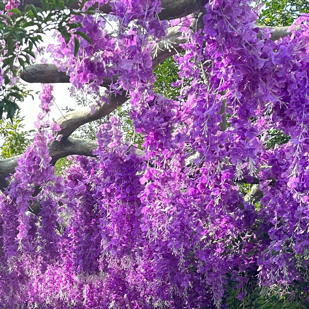平凡的浪漫💕