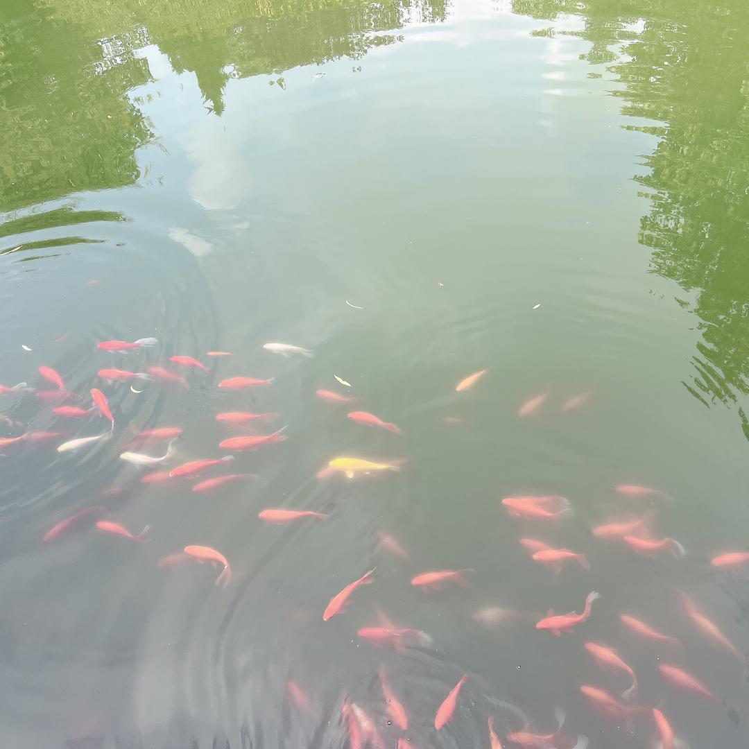 丁小玲