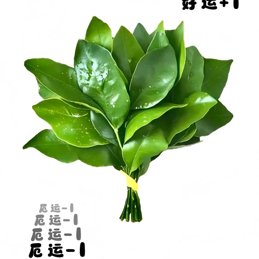 🐾小困包ᥫᩣ