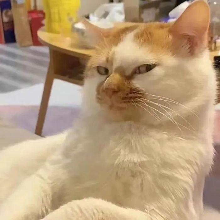 W..