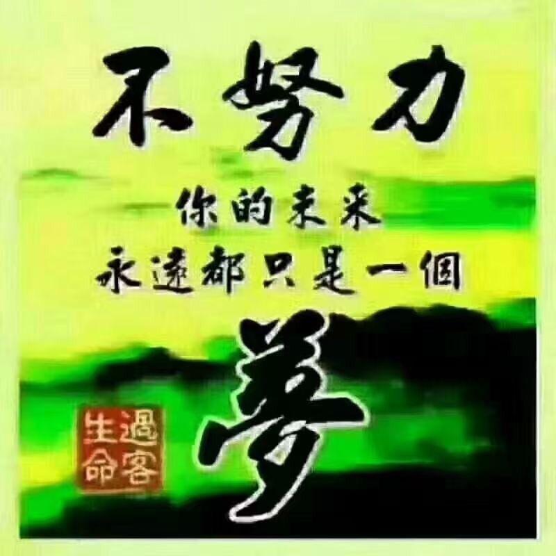 自在逍遥