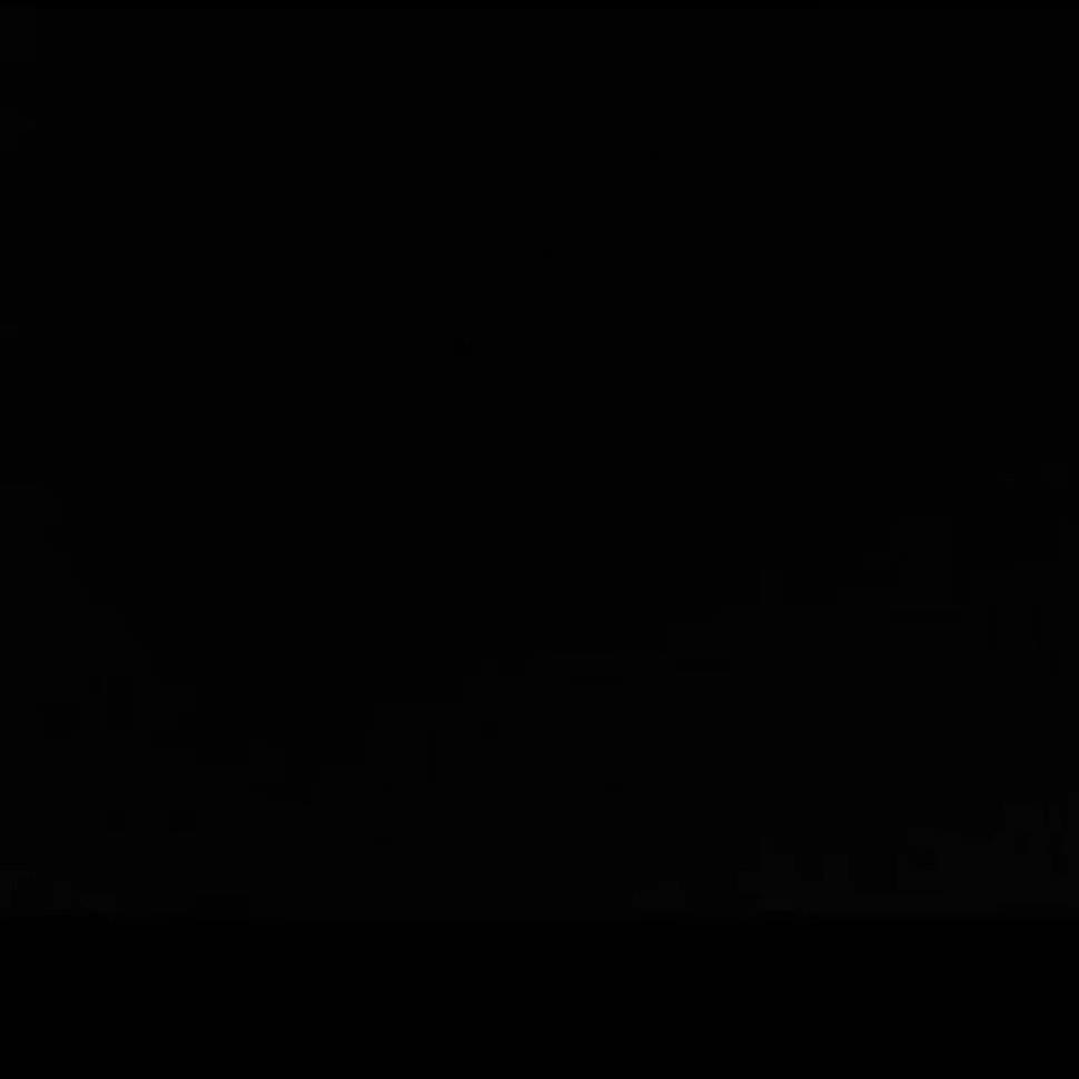zv