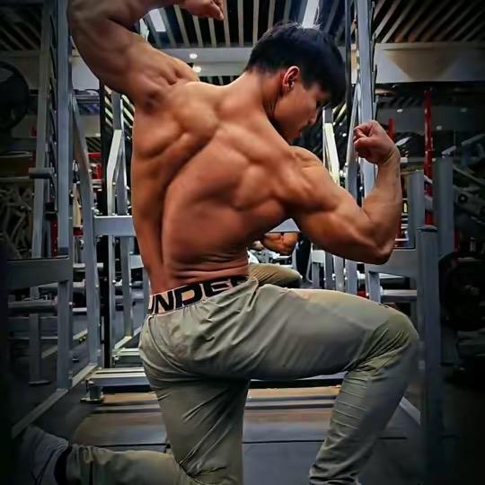 飞来飞去的地方