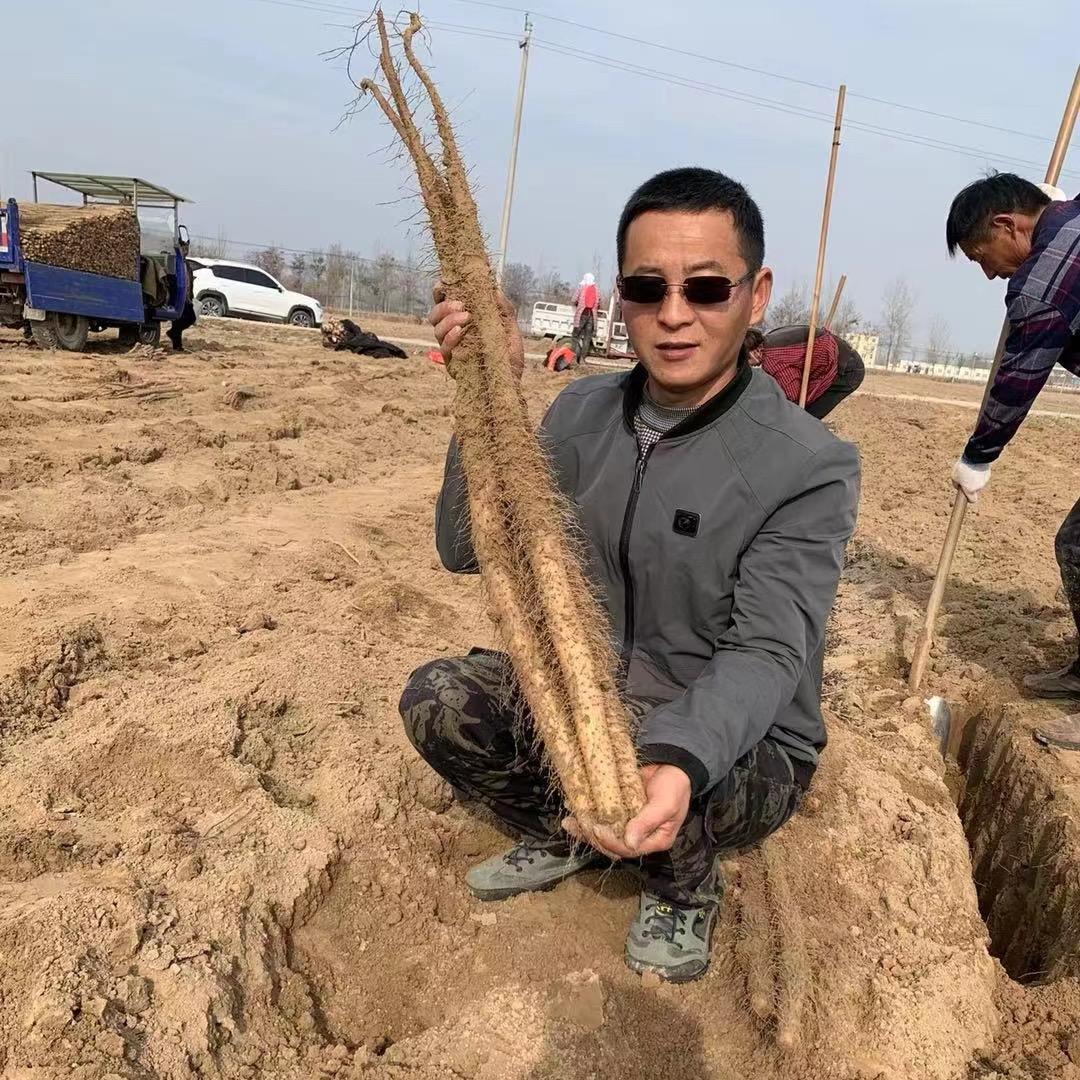 邵坤农家