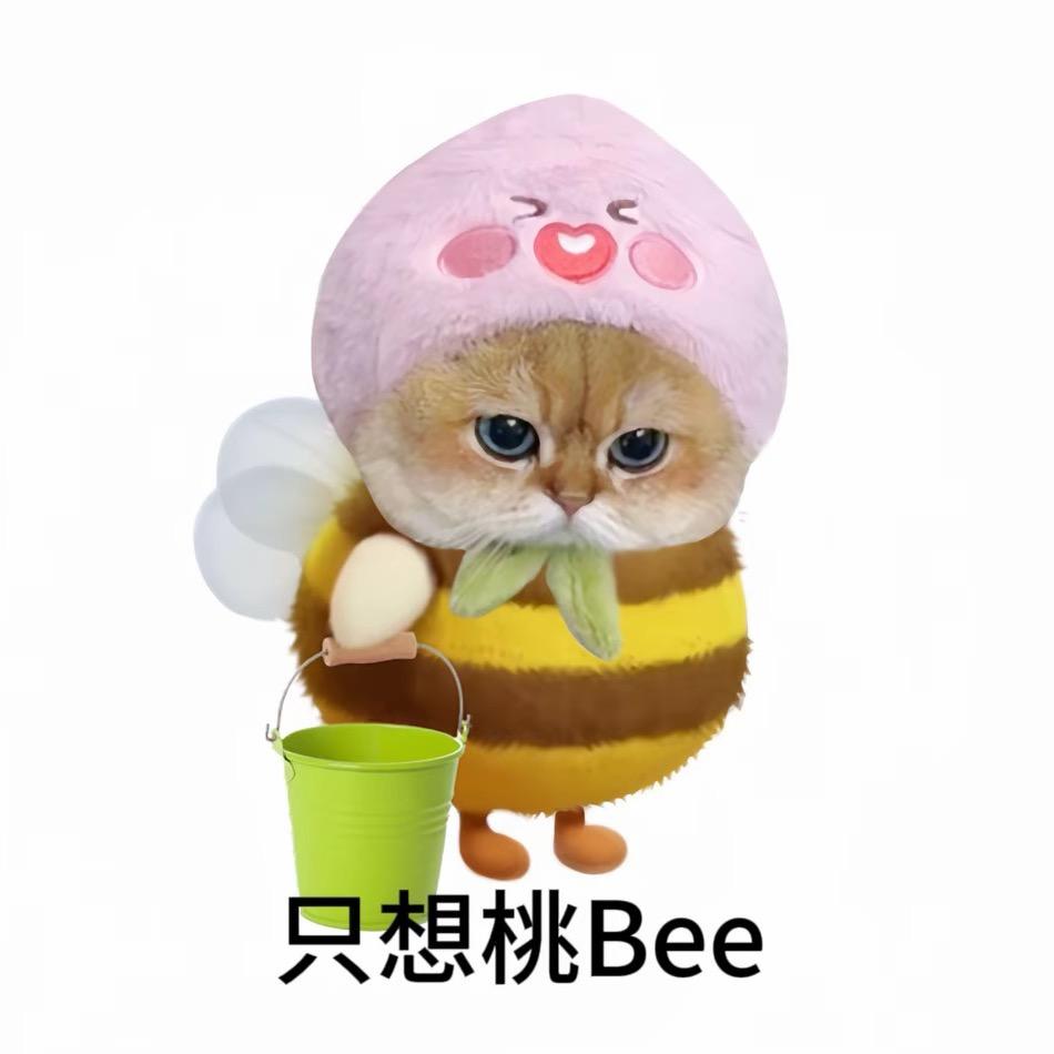 旖旎
