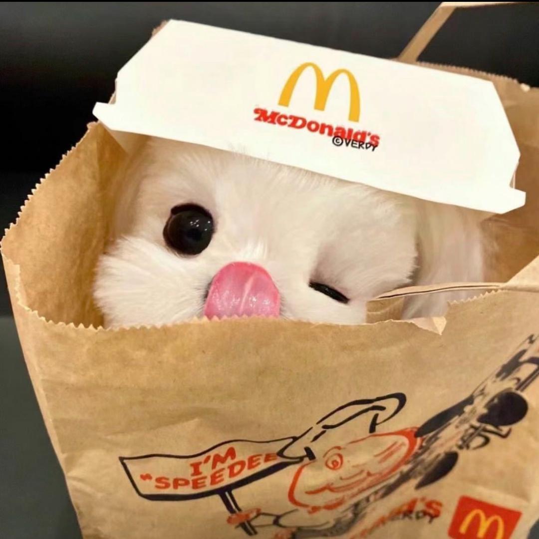 好运滚滚來