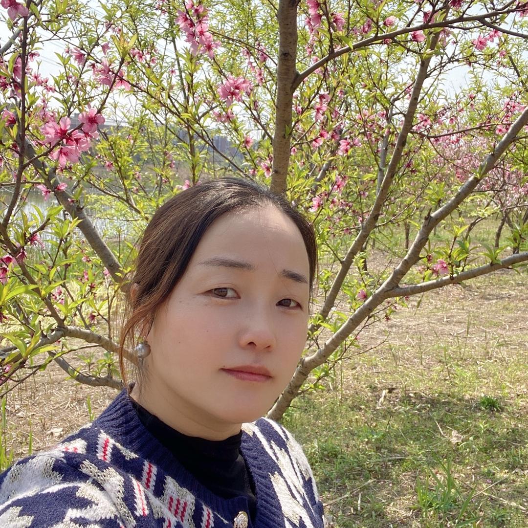 菊