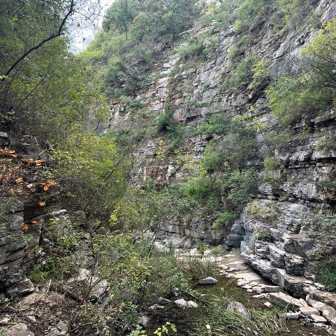 孙铭瑶