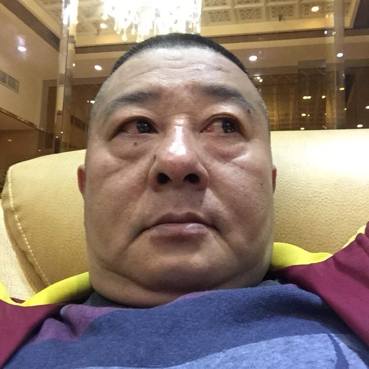 胖哥宠物