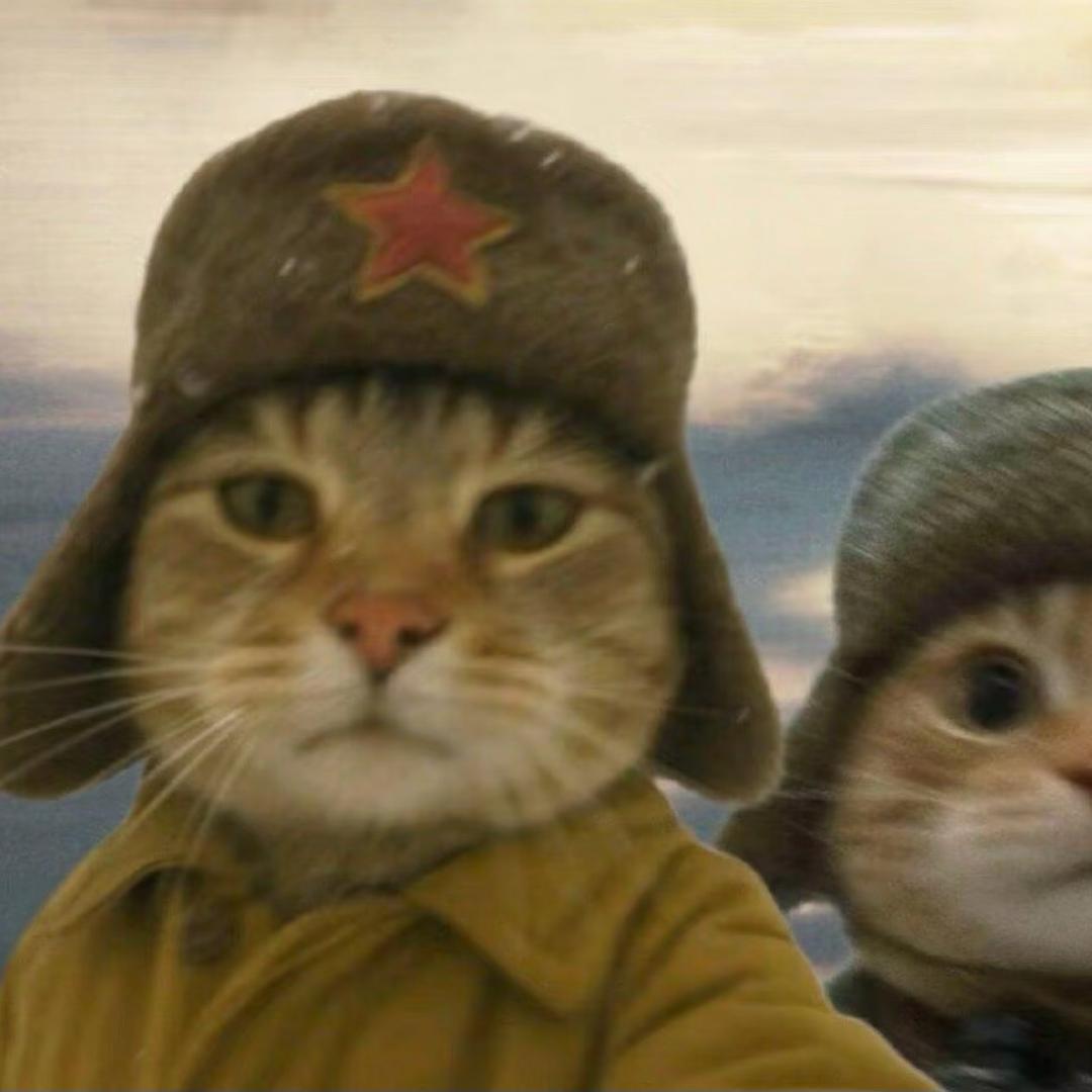 地球也不赖