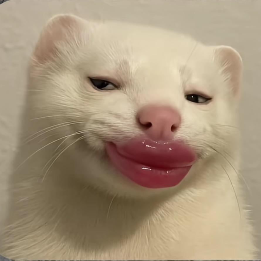 一周困⁸天 🐷