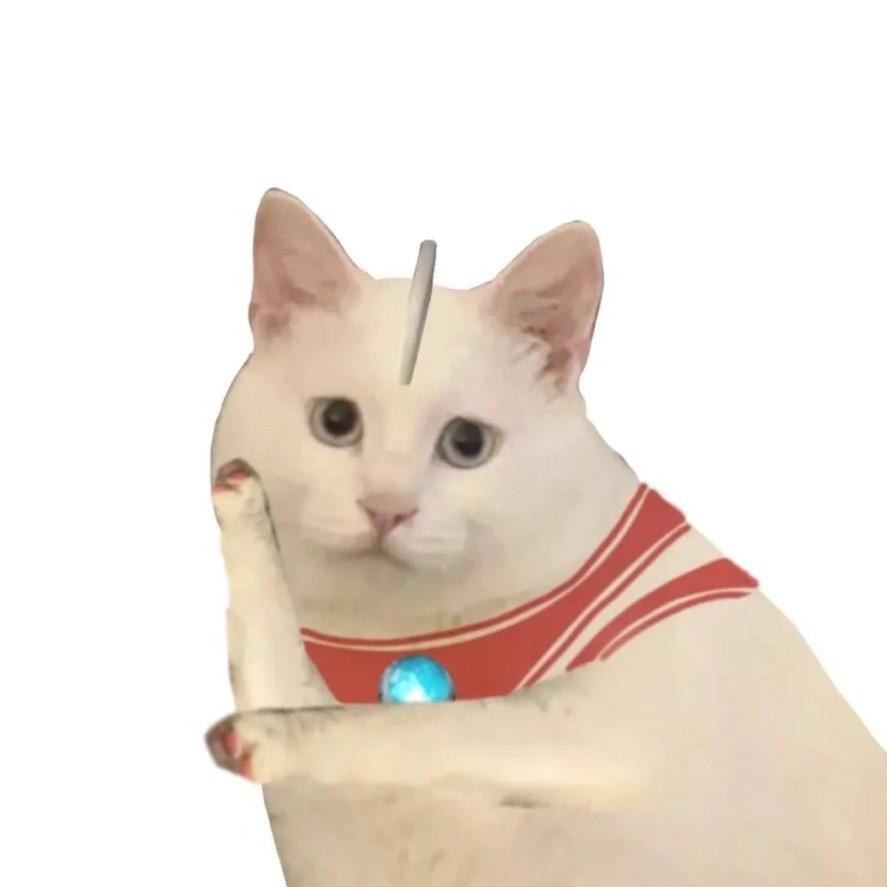 坚持与努力🐟（CS2）