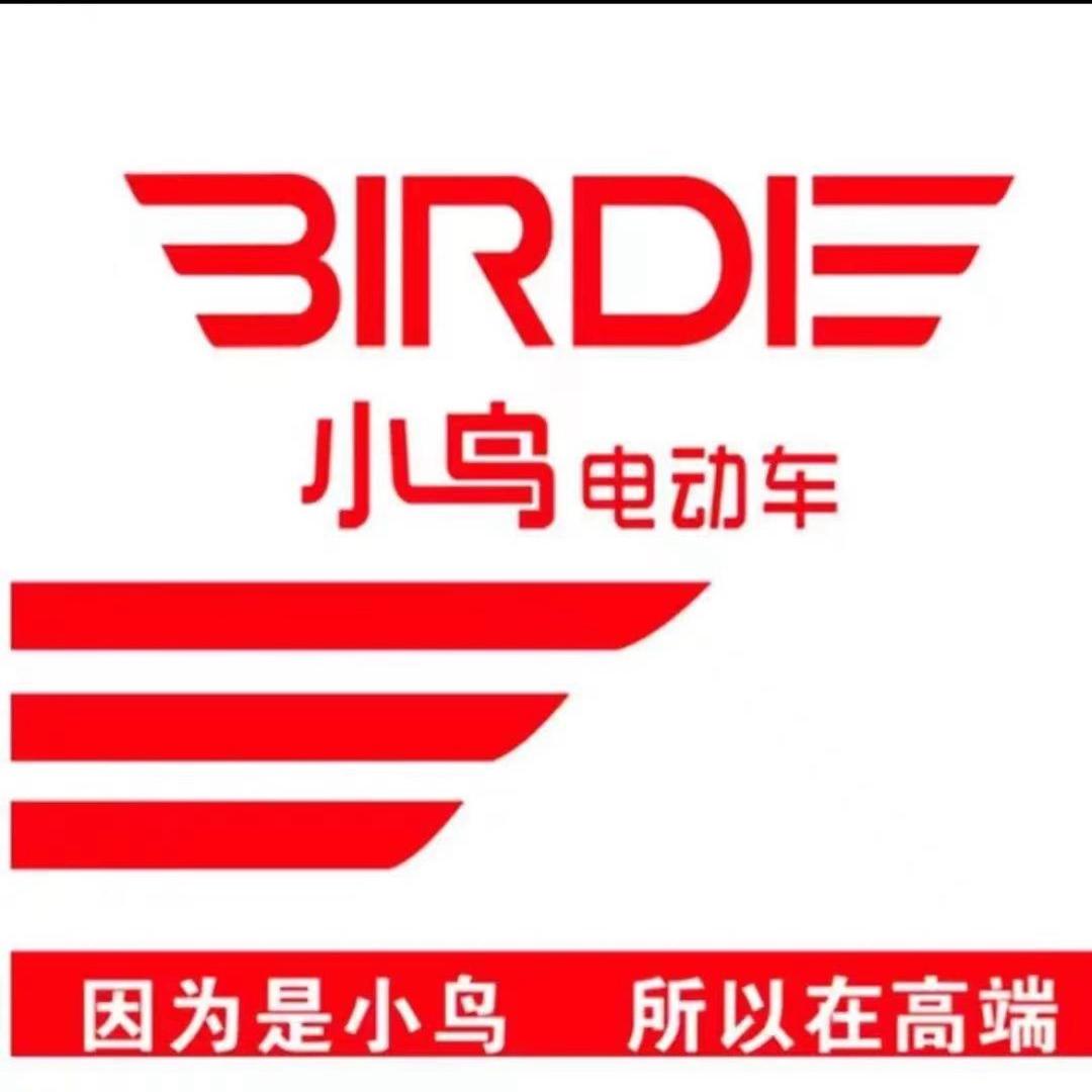 兰陵小鸟电动车五叉路口