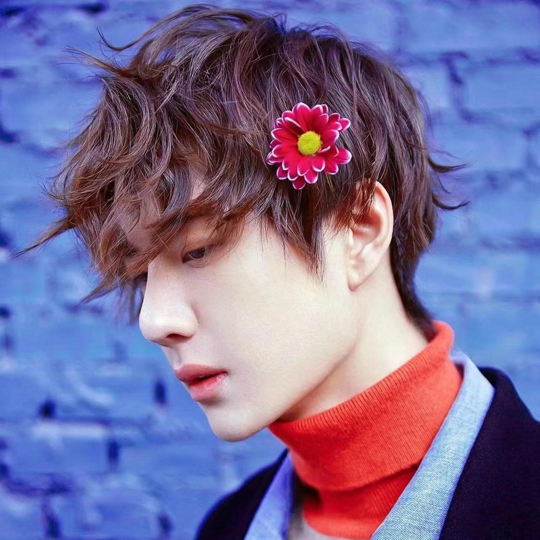 咪宝的躺平日常