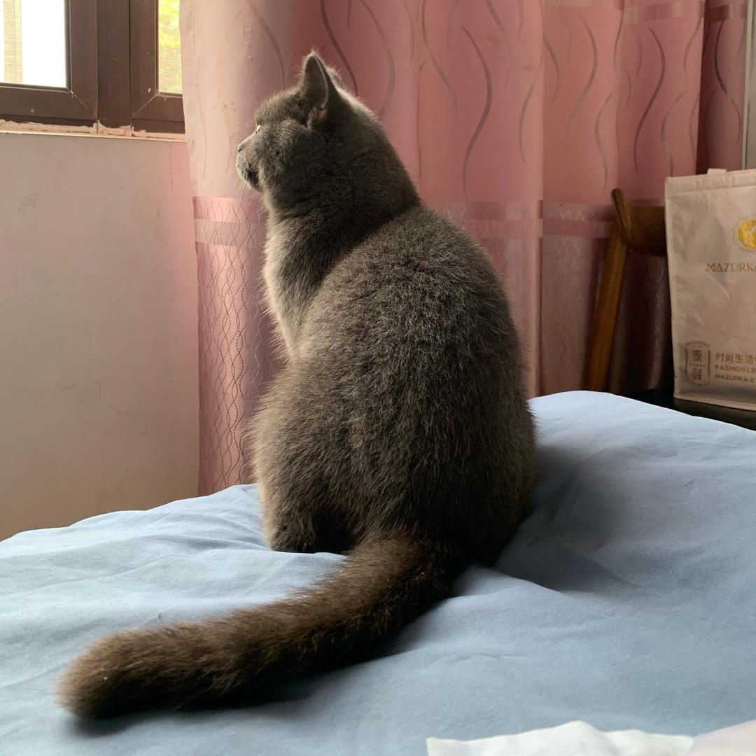 初夏的宝贝