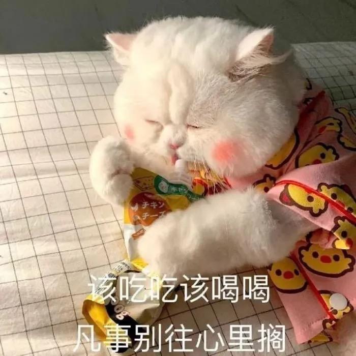 东东西西(喝出来的健康茶)
