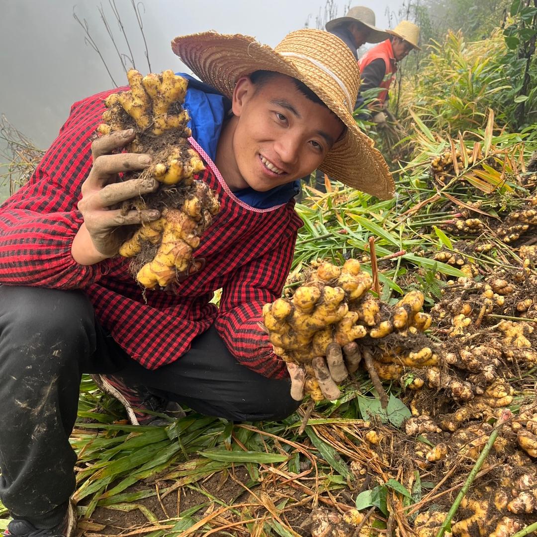 大熊鲜果蔬