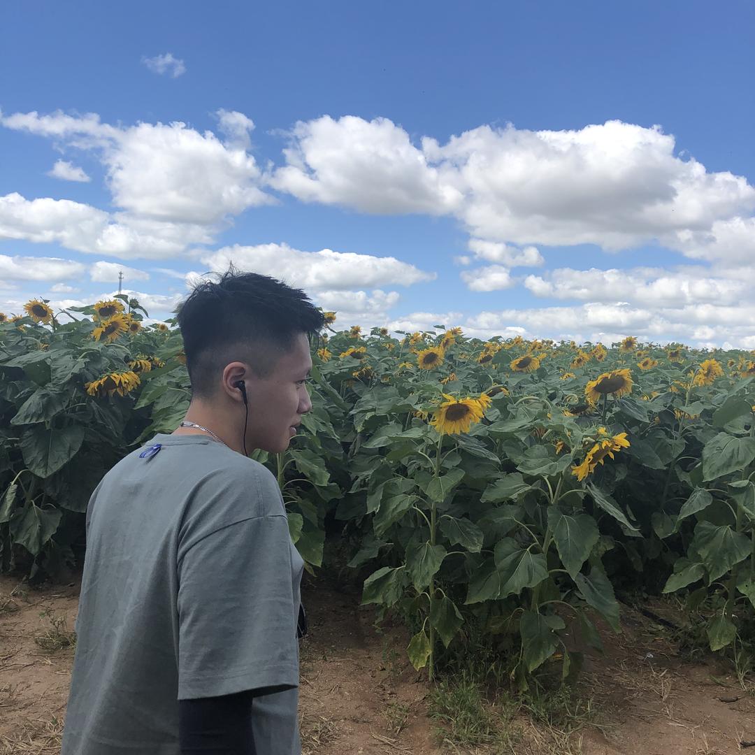 真曾曾总