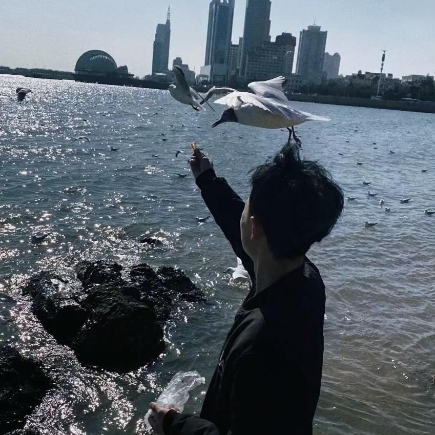 起风了_