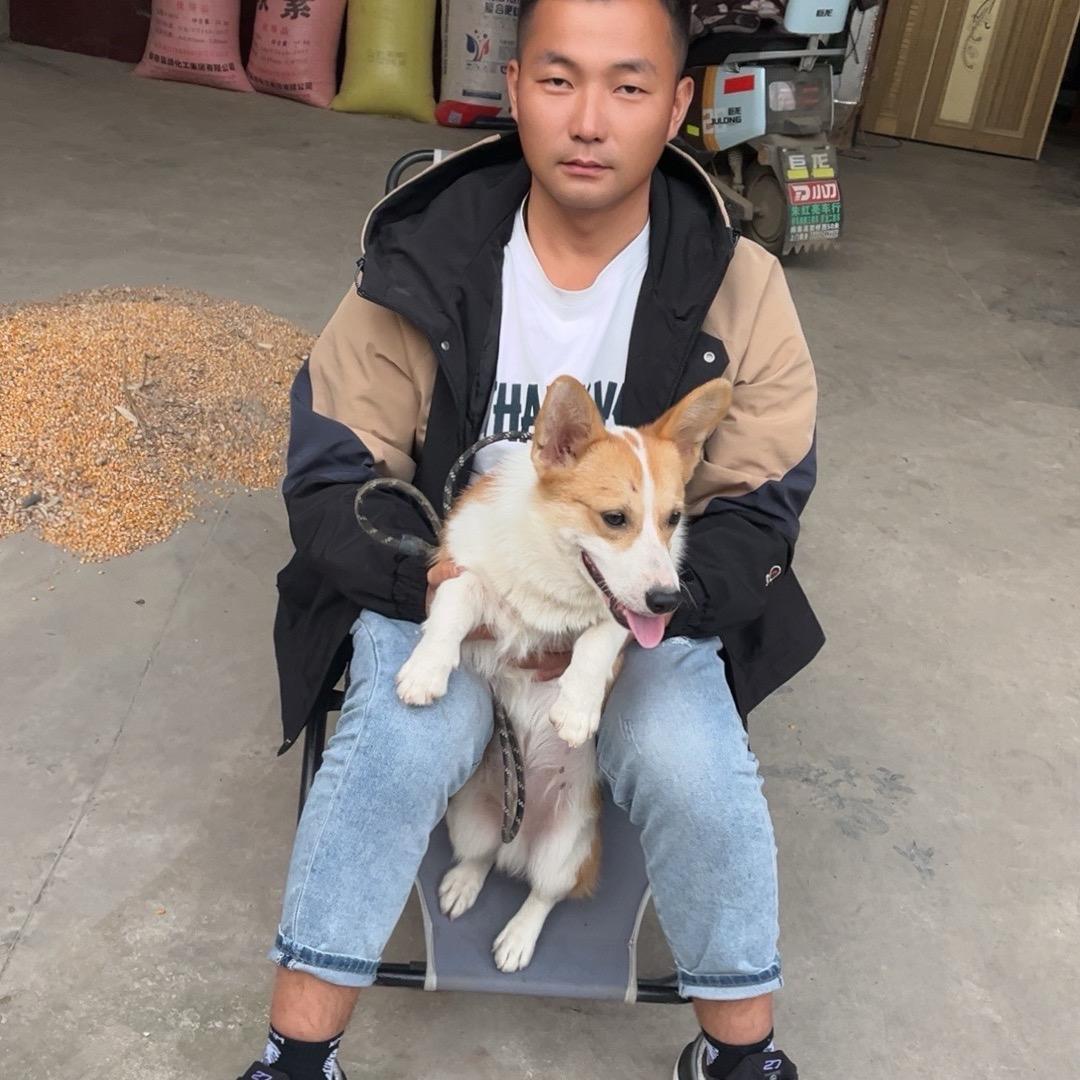 货车司机立春