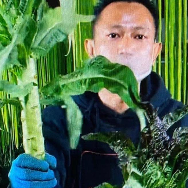 云南谦之优凯