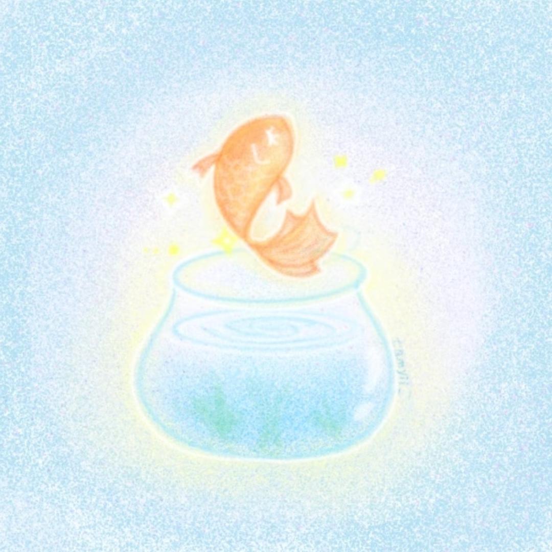 轻松芝士自由