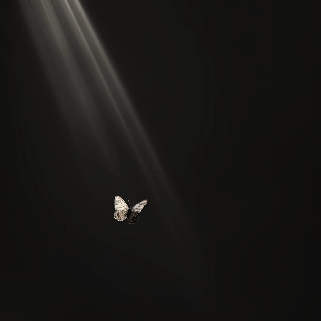 X,m