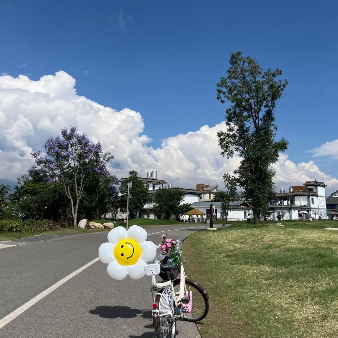 人生若只如初见