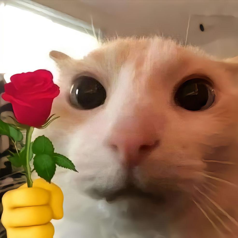 好多斤