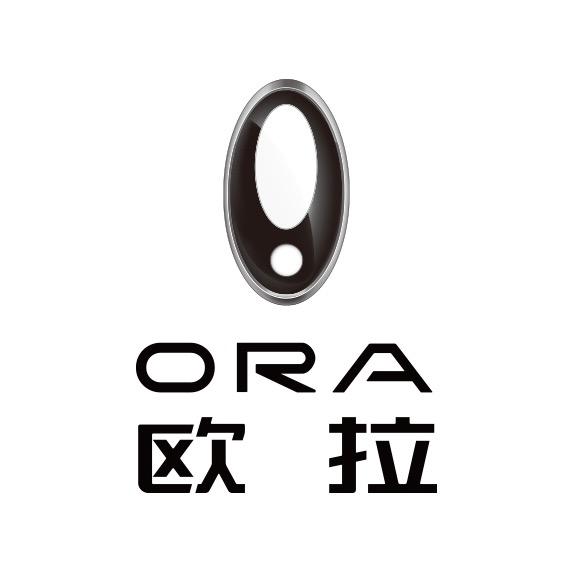 武汉欧猫欧拉汽车