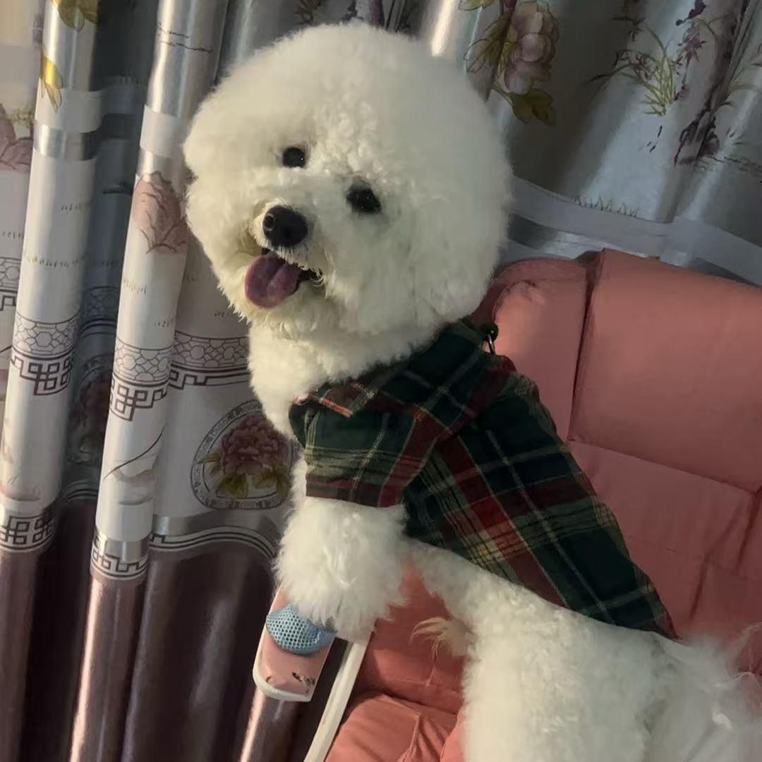 玲