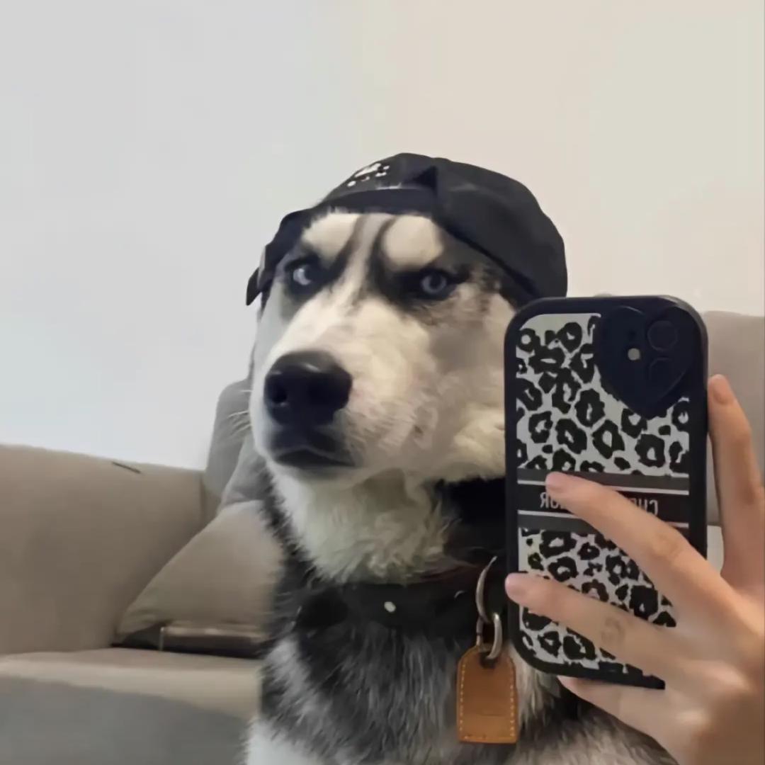 软饭王