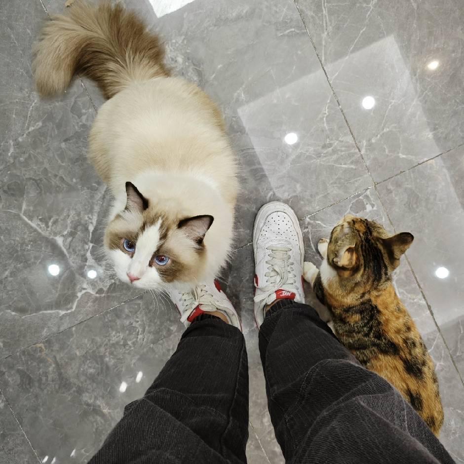**点灯🤗