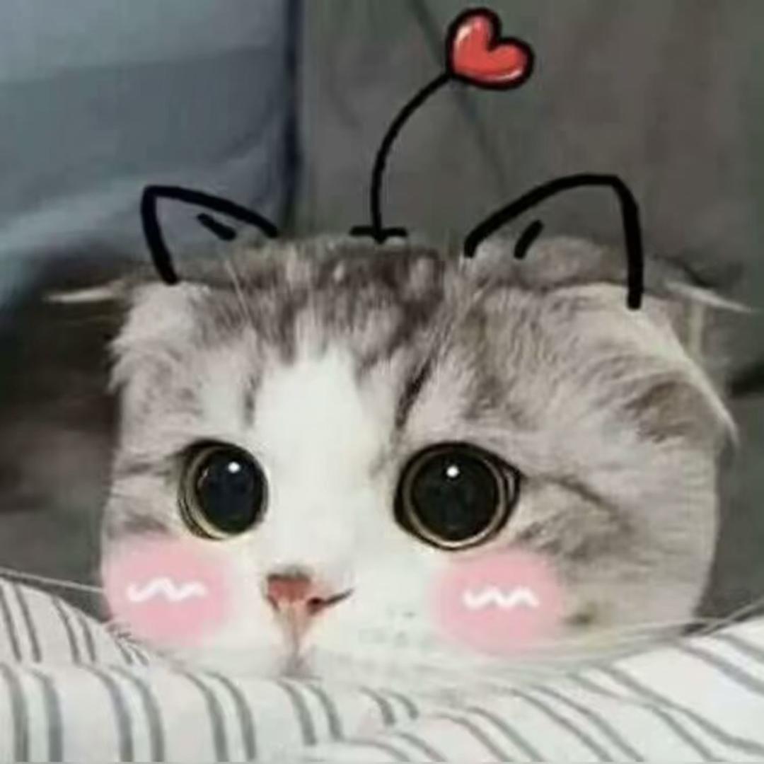 泡芙超人