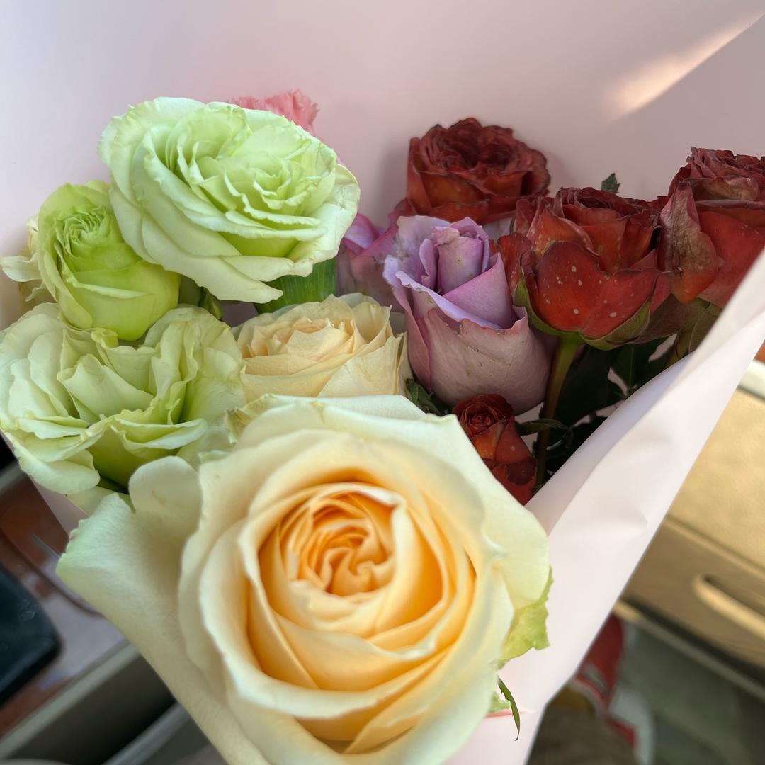 给生活一个微笑