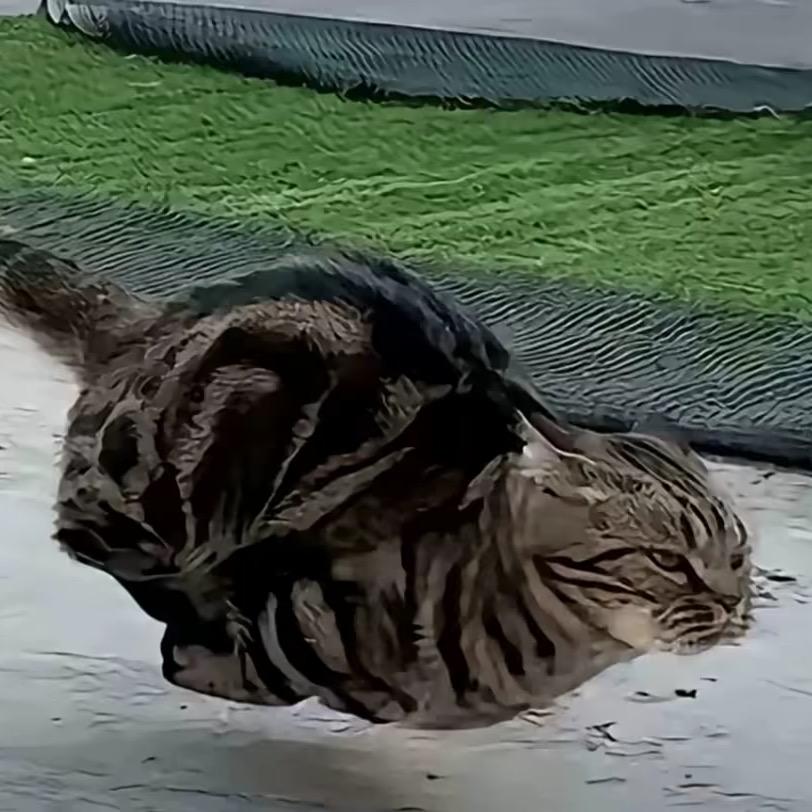 经典传奇，冰葡萄