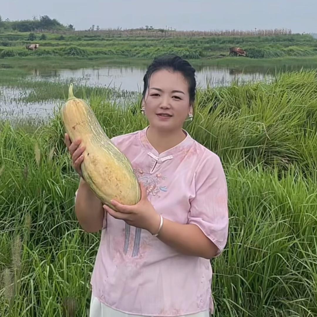 岳池县顾县镇果蔬种植基地